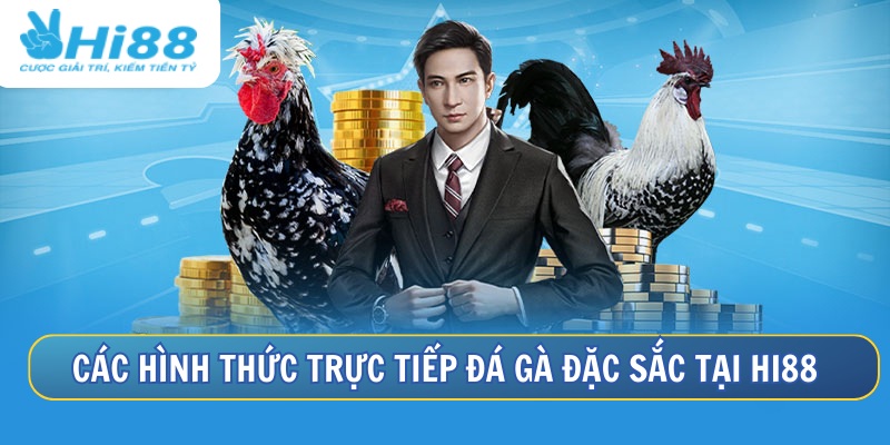 Các hình thức đá gà hấp dẫn không thể bỏ qua