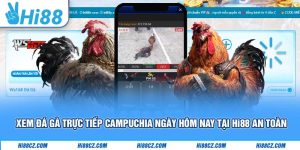 Xem Đá Gà Trực Tiếp Campuchia Ngày Hôm Nay Tại Hi88